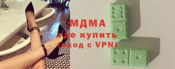 индика Гатчина